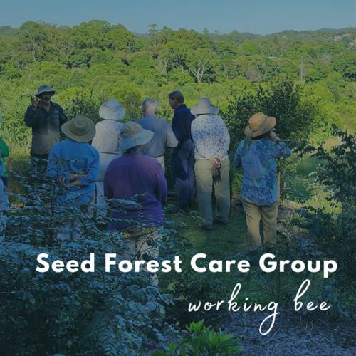 Seed Forest Care Group - Working Bee