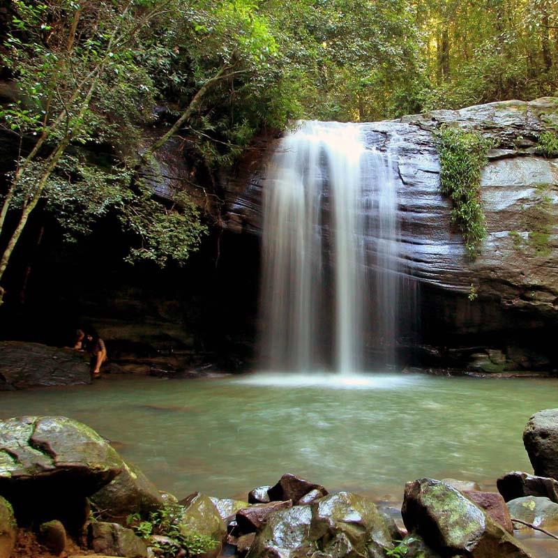 waterfall over rocks in forest